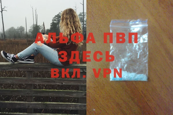 PSILOCYBIN Беломорск