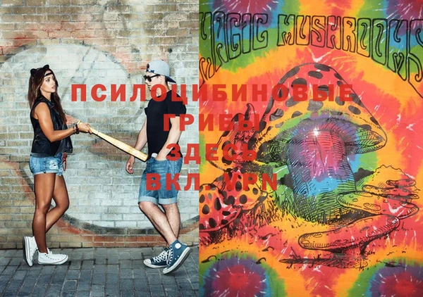 PSILOCYBIN Беломорск