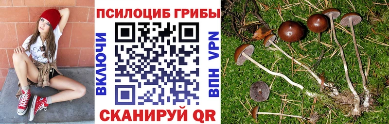 Псилоцибиновые грибы GOLDEN TEACHER закладки Вышний Волочёк